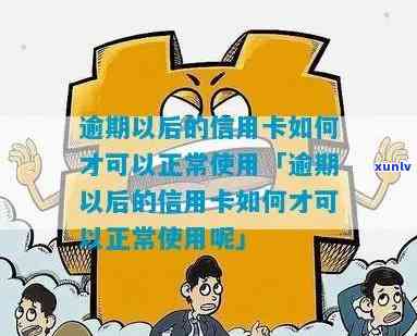 逾期了怎么养信用卡-逾期以后的信用卡如何才可以正常使用