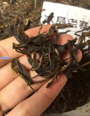 冰岛早春古树茶贵吗-冰岛早春古树茶贵吗值得买吗