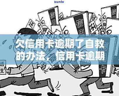 银行信用卡逾期自救-银信用卡逾期了我不知道怎么办