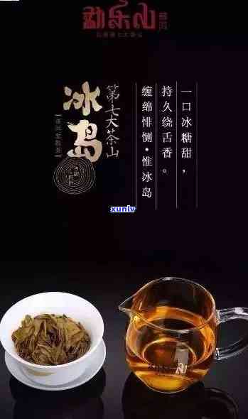 冰岛茶的起源，探索冰岛茶的起源：一独特的茶叶历之旅