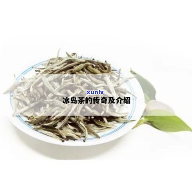 冰岛茶是什么兴起的-冰岛茶是什么兴起的茶叶