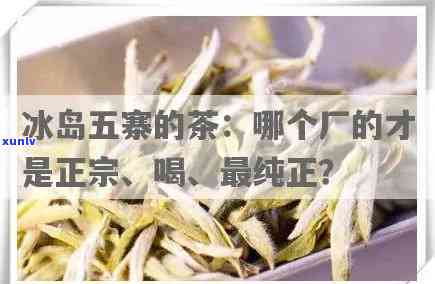 冰岛五寨的茶：哪个厂的正宗？生茶还是熟茶？