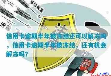 信用卡逾期半年怎么解除-信用卡逾期半年怎么解除冻结