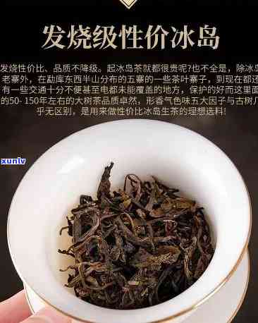 冰岛茶能放多久？了解保存期限与品质关系