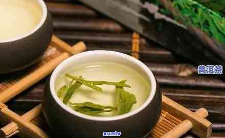 冰岛绿茶是生茶还是熟茶？了解这种独特的茶叶品种