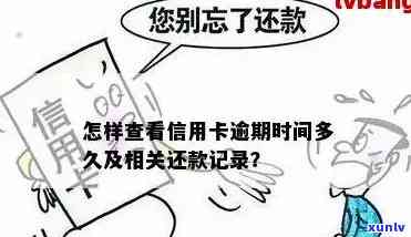 怎么查信用卡逾期还款记录，如何查询信用卡逾期还款记录？-如何查信用卡的逾期记录