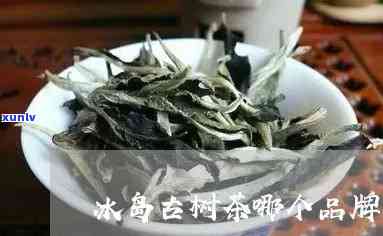 喝的冰岛古树茶-喝的冰岛古树茶排名