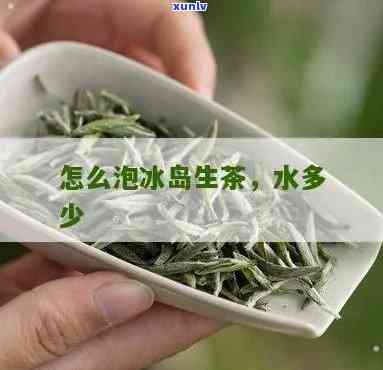 冰岛生茶的泡时起泡-泡冰岛生茶水多少