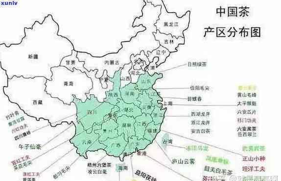 揭示中国之一大茶叶企业的身份：领先全国的茶叶生产商