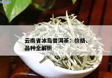 昆明冰岛茶为什么贵-昆明冰岛普洱茶多少钱