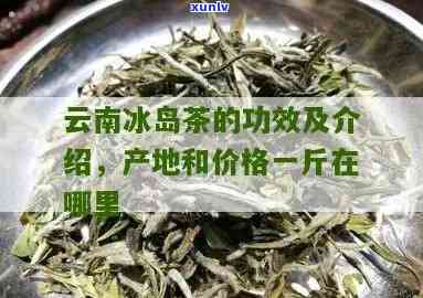 云南临沧冰岛茶的特点：产地、价格及炒制历全解析