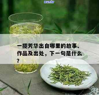 一揽芳华是什么茶叶-一揽芳华是什么茶叶