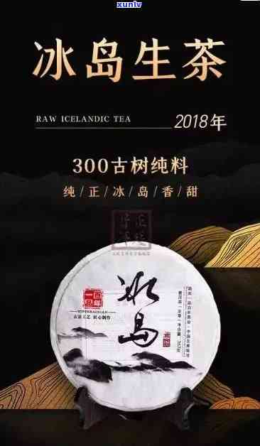 冰岛茶王三百年树龄-冰岛茶王三百年树龄多少