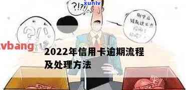 2022年信用卡逾期流程，深入了解：2022年信用卡逾期的详细流程与应对策略