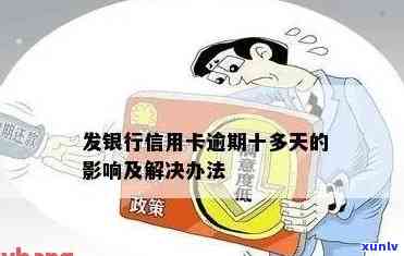 苏州精选玉石市场：高品质翡翠购物指南，哪里买最划算？