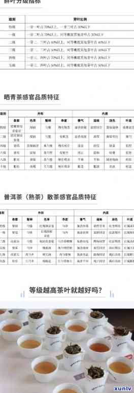 高档茶叶价格标准八项规定：内容、最新进展及检要求