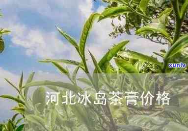 湖北冰岛茶膏多少钱-冰岛茶多少钱一盒