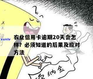 农行信用卡逾期，逾期还款警示：农行信用卡逾期可能带来的后果和解决办法