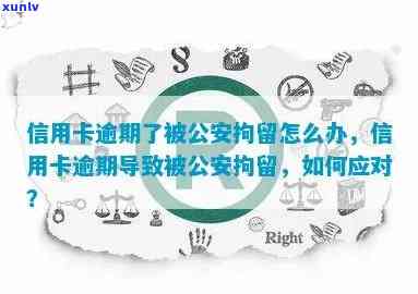 信用卡逾期公安限行令-信用卡逾期公安限行令是什么