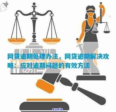 六次逾期怎么办，六次逾期处理攻略：应对逾期问题的有效 *** 