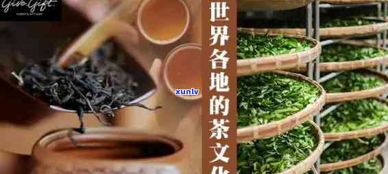 著名茶叶，品味名茶：探索世界著名的优质茶叶