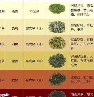 寻找的茶叶品种：品种、图片、名称、与种类全解析