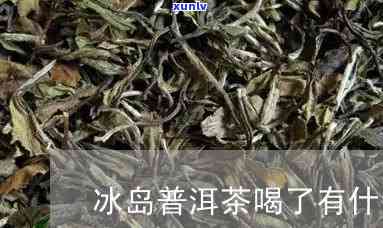 冰岛茶的危害有哪些-冰岛茶对人体的好处