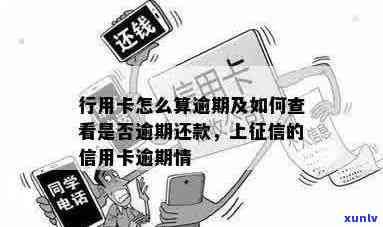 怎么查看信用卡逾期是否已上报？