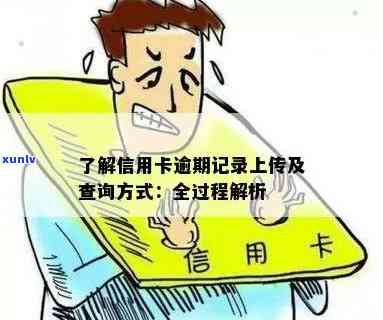 怎么查看信用卡逾期是否已上报？