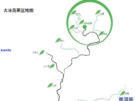 冰岛是哪个山头的茶叶？探究其产地及品种特性