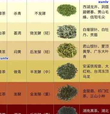 茶叶级别越高越好吗-茶叶级别越高越好吗为什么