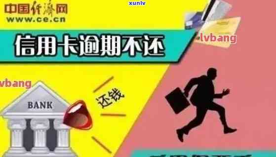 邮政信用卡逾期半年后怎么办？影响及解决办法全解析