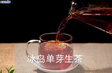 冰岛单株生茶好喝吗-冰岛单株是生茶吗