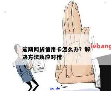 多家网贷信用卡逾期怎么办？影响、处理及解决 *** 全解析