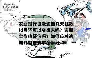 农业银行信用贷款逾期，警惕！逾期还款可能会影响你的农业银行信用贷款