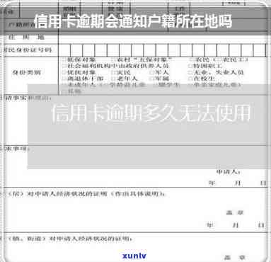 信用卡逾期告知户当地-信用卡逾期告知户当地怎么办