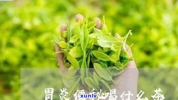 有胃炎能喝什么茶叶-有胃炎能喝什么茶叶好