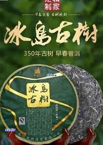 老班章茶王王后是谁-老班章茶王茶皇后