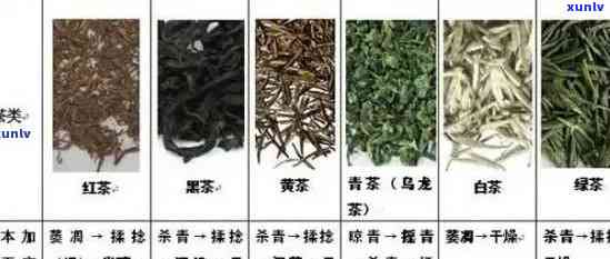 茶叶哪种级别好一点-茶叶哪种级别好一点啊