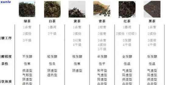 茶叶什么级别的？从香气、口感到等级，一文告诉你！