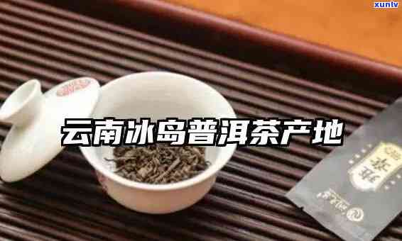 云南冰岛茶产地：揭秘世界顶级普洱茶之源