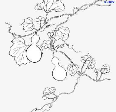 葫芦飘带图片大全：简笔画、图案、吊坠与处理 *** 全攻略