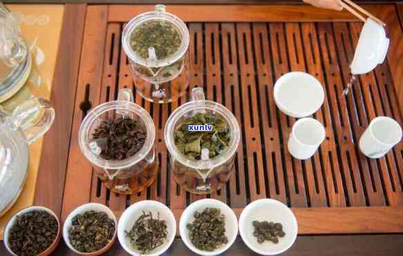 和冰岛味道相似的茶叶有哪些？探索口感相近的茶品种