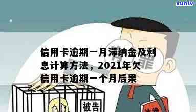 信用卡19000逾期还不上,一个月滞纳金多少？以及信用卡12000逾期一年、1200逾期一个月的利息详情