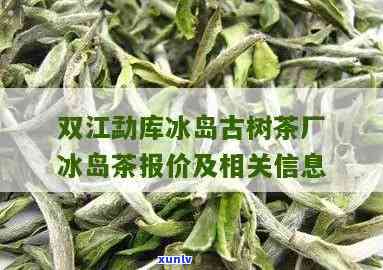 普洱茶饼八级是什么意思？了解其品质和 *** 工艺的全方位解析