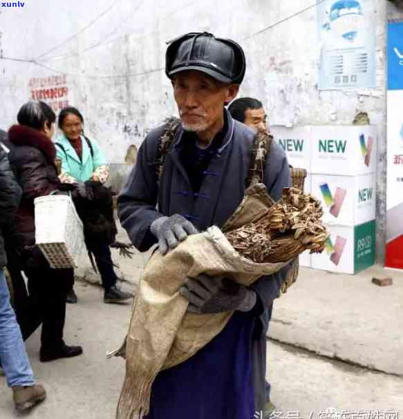 老年人适合什么茶叶好喝？全面解析适合老年人的茶叶种类与选择建议