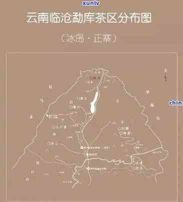 云南大山里的冰岛茶：品种、名称、特点及产地解析