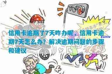 全面解析：翡翠戒指的收藏价值与评估方式，你知道吗？