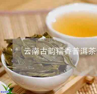 滇南古韵普洱茶价格，探寻云南古韵：普洱茶的价格解析