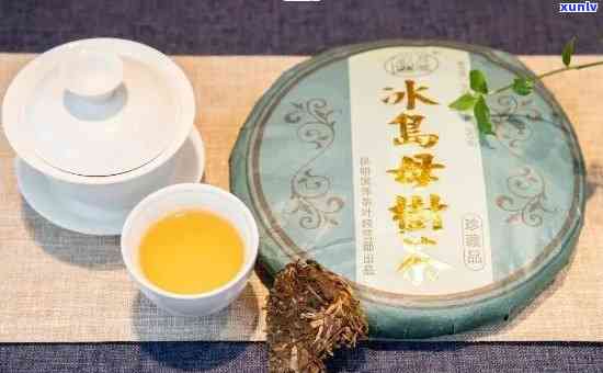 冰岛古树茶：红茶还是绿茶？探讨其品种、品质与口感特点